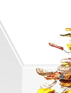 Ceiling Light Fixture ,dining chandelier with warm color flowers and leaves