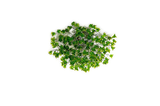 Flush mount lighting, ceiling mount light fixture with Green jumping flowers , elegant sconces for ceiling or wall