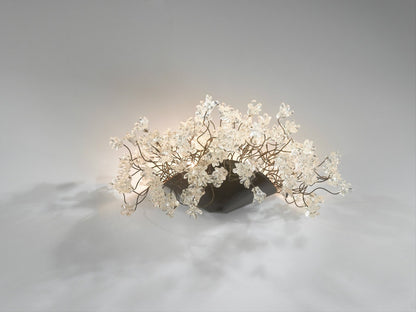 Modern Wall lighting with clear Krystal flowers