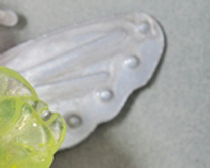 Wall Hook with pastel resin flowers and metal butterfly - decorative wall hanger.