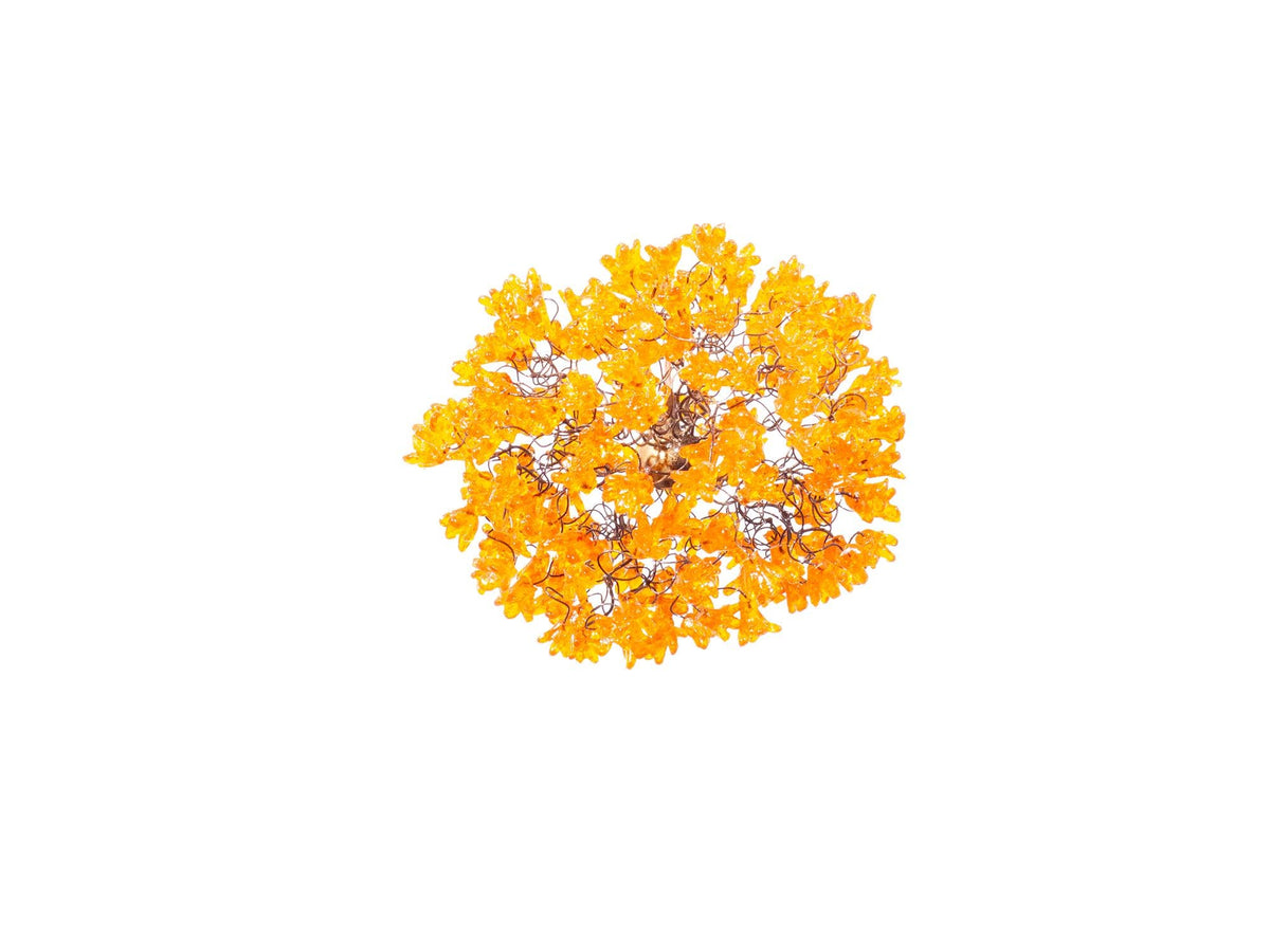 Hanging pendants light with yellow flowers for bedroom, bathroom, toilette or kitchen island .