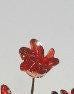 red up sconce lighting, Wall light lamp with elegant red flowers